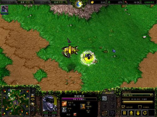 bug
